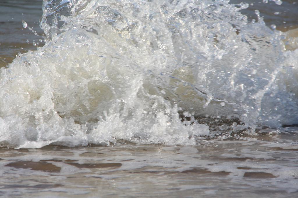 La Plage De Panne Oda fotoğraf